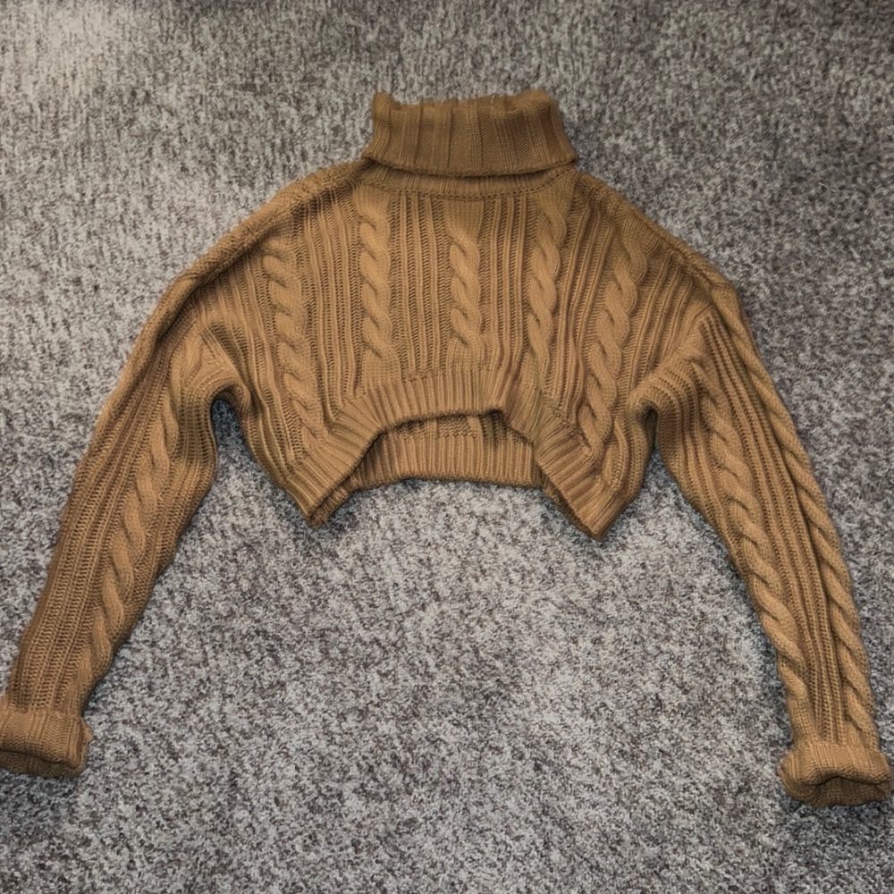 Cropped Turtle Neck Sweater
